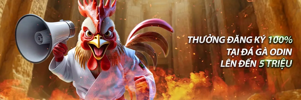 Ứng dụng trực tiếp thomo bình luận viên trên điện thoại